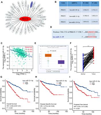 miR-21-5p/PRKCE axis implicated in immune infiltration and poor prognosis of kidney renal clear cell carcinoma